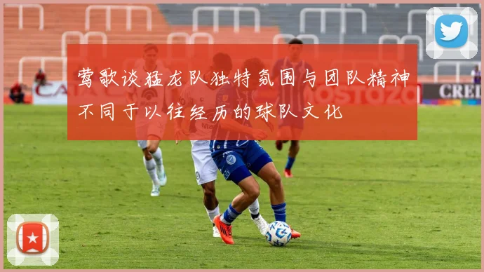 莺歌谈猛龙队独特氛围与团队精神不同于以往经历的球队文化